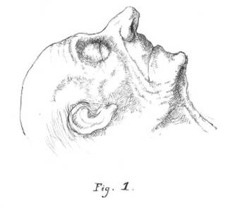 Иллюстрация к книге — Кроха [i_056.jpg]