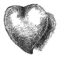 Иллюстрация к книге — Кроха [i_069.jpg]