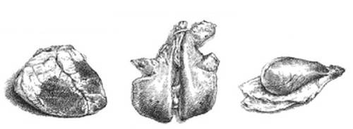 Иллюстрация к книге — Кроха [i_070.jpg]