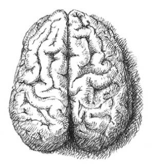 Иллюстрация к книге — Кроха [i_072.jpg]