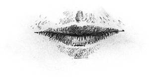 Иллюстрация к книге — Кроха [i_073.jpg]