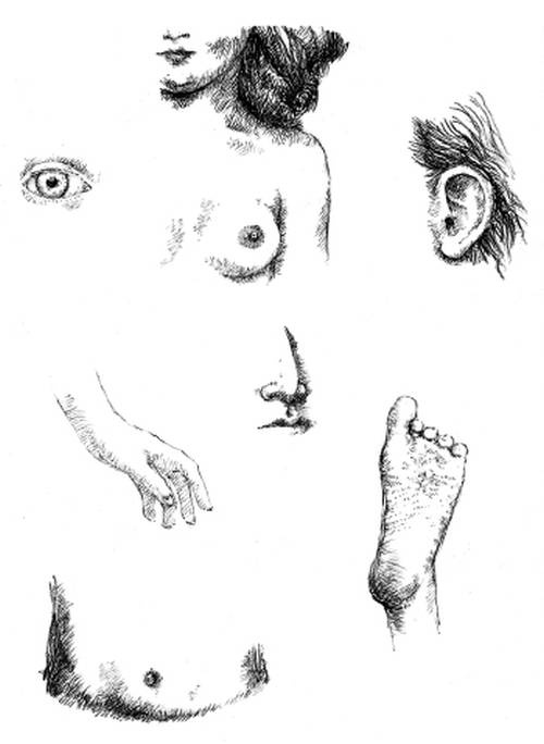 Иллюстрация к книге — Кроха [i_075.jpg]