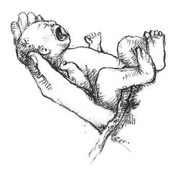 Иллюстрация к книге — Кроха [i_077.jpg]