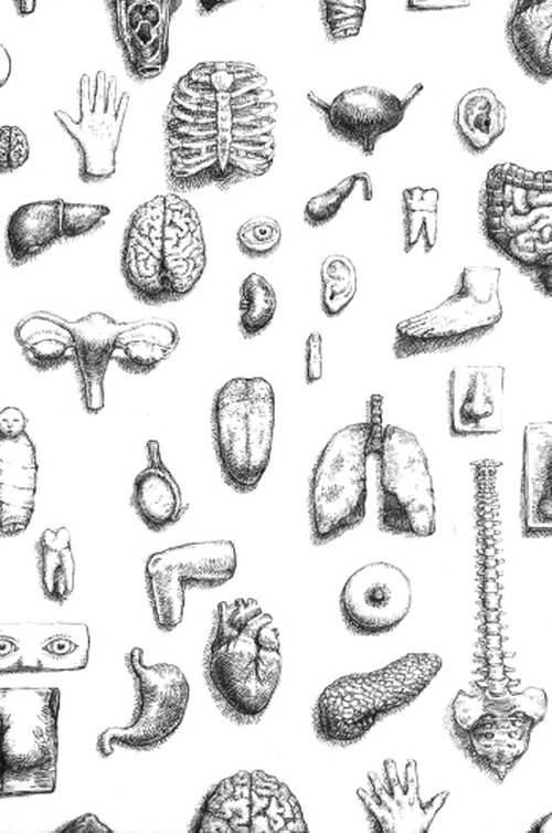 Иллюстрация к книге — Кроха [i_081.jpg]