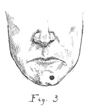 Иллюстрация к книге — Кроха [i_091.jpg]