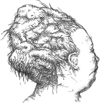 Иллюстрация к книге — Кроха [i_121.jpg]