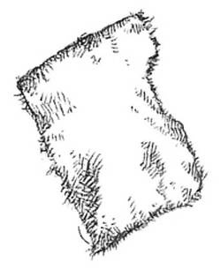 Иллюстрация к книге — Кроха [i_122.jpg]