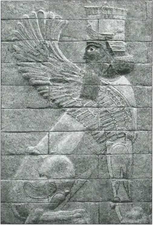 Иллюстрация к книге — Древняя Персия [img_10.jpg]