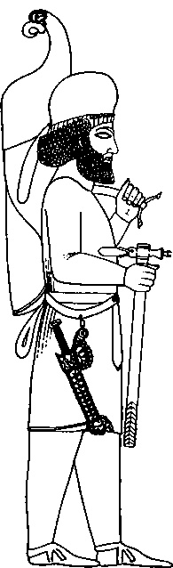 Иллюстрация к книге — Древняя Персия [img_25.jpg]