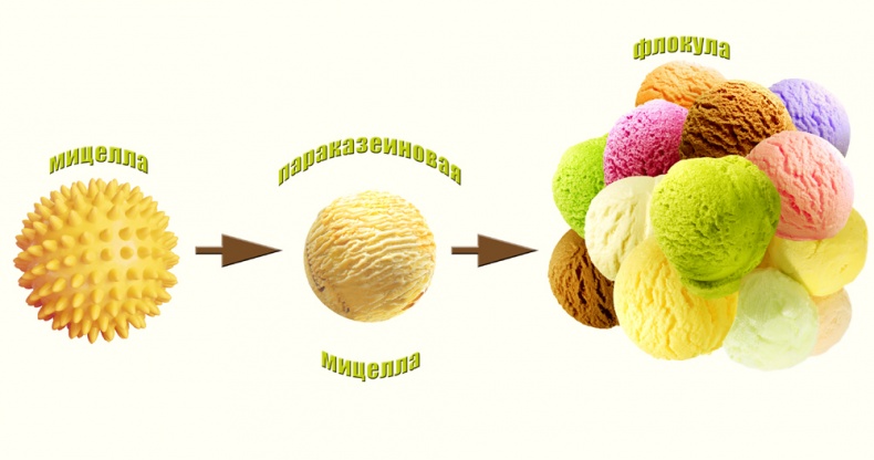 Иллюстрация к книге — Современное сыроделие для всех. Часть первая  [_1.jpg]