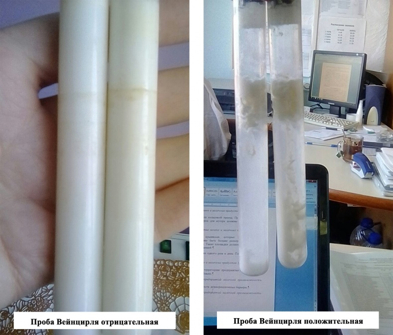 Иллюстрация к книге — Современное сыроделие для всех. Часть первая  [_13.jpg]