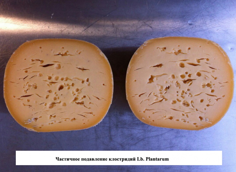 Иллюстрация к книге — Современное сыроделие для всех. Часть первая  [_15.jpg]