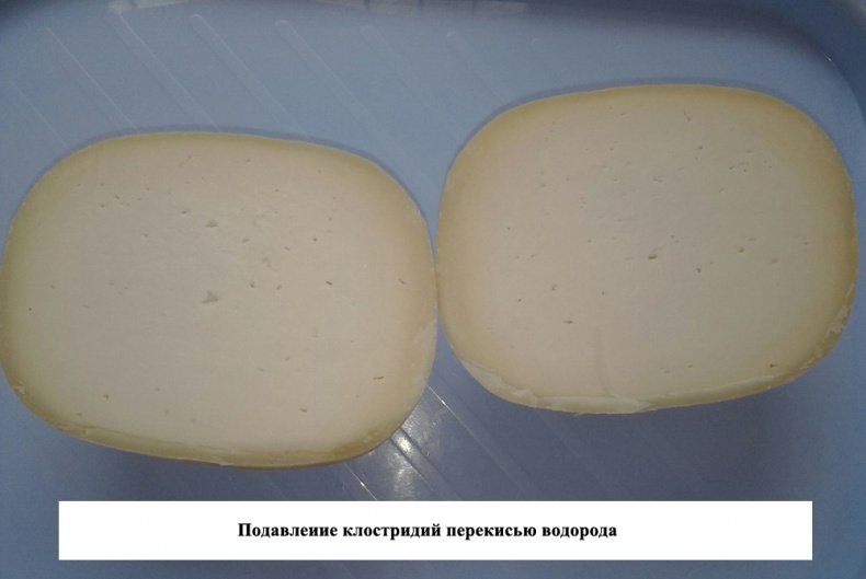 Иллюстрация к книге — Современное сыроделие для всех. Часть первая  [_16.jpg]