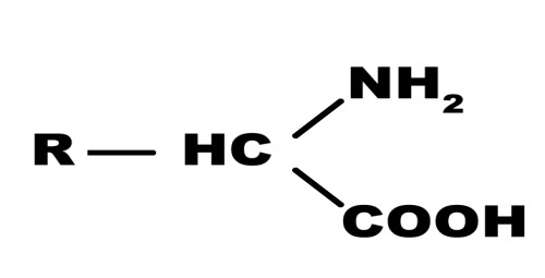 Иллюстрация к книге — Современное сыроделие для всех. Часть первая  [_2.jpg]