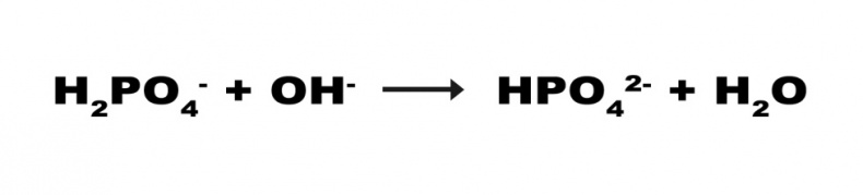Иллюстрация к книге — Современное сыроделие для всех. Часть первая  [_7.jpg]