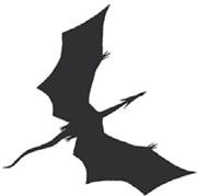 Иллюстрация к книге — Темнота драконов [i_003.jpg]