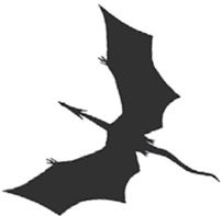 Иллюстрация к книге — Темнота драконов [i_034.jpg]