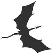 Иллюстрация к книге — Темнота драконов [i_038.jpg]