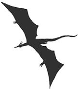 Иллюстрация к книге — Темнота драконов [i_052.jpg]