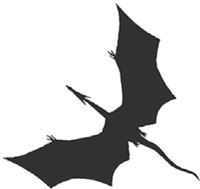 Иллюстрация к книге — Темнота драконов [i_058.jpg]