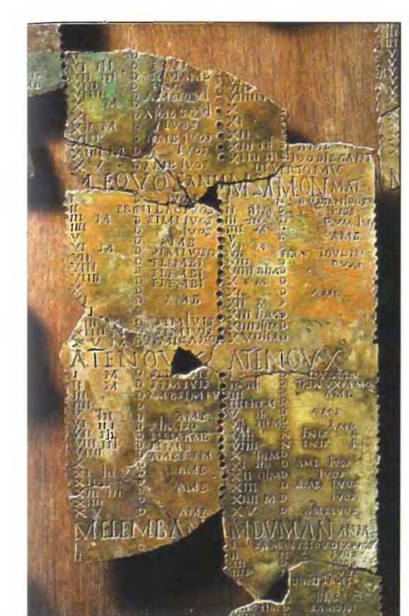 Иллюстрация к книге — Галлы [img_101.jpg]