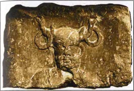 Иллюстрация к книге — Галлы [img_118.jpg]