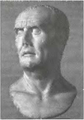 Иллюстрация к книге — Галлы [img_25.jpg]