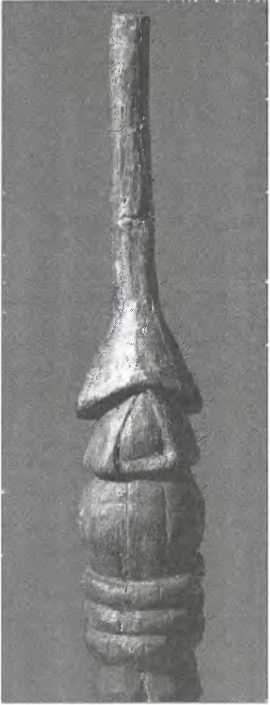 Иллюстрация к книге — Галлы [img_59.jpg]