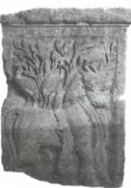 Иллюстрация к книге — Галлы [img_73.jpg]