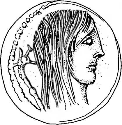 Иллюстрация к книге — Галлы [img_92.jpg]