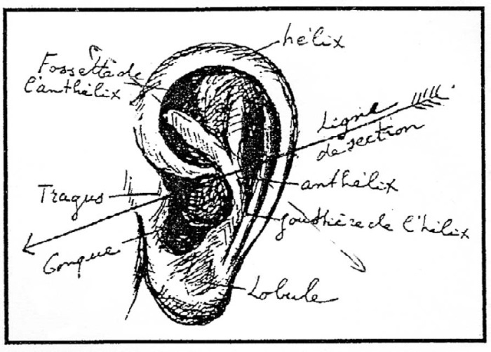 Иллюстрация к книге — Ухо Ван Гога. Главная тайна Винсента [i_023.jpg]