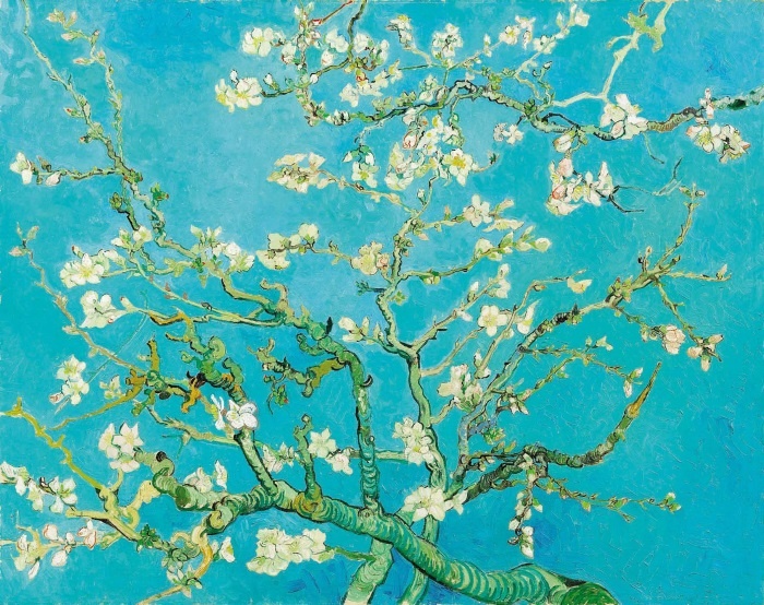 Иллюстрация к книге — Ухо Ван Гога. Главная тайна Винсента [i_061.jpg]