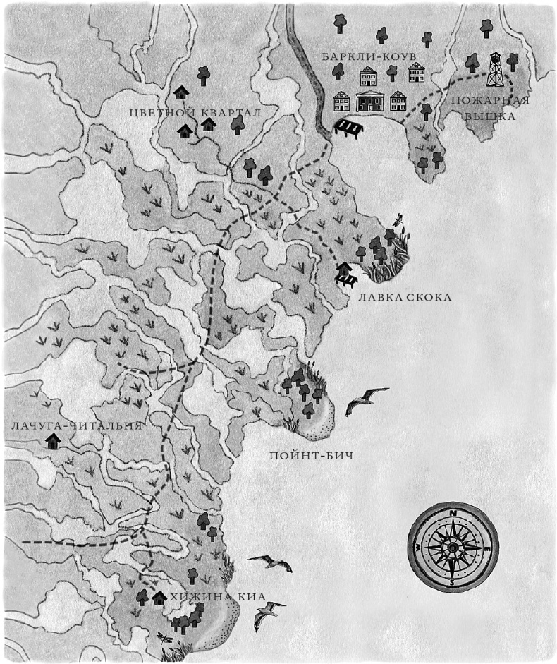 Иллюстрация к книге — Там, где раки поют [i_001.png_1.jpg]