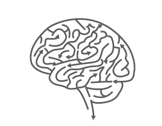 Иллюстрация к книге — Как работает мозг [img_1.jpg]