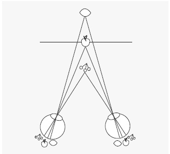 Иллюстрация к книге — Как работает мозг [img_40.jpg]