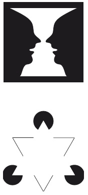 Иллюстрация к книге — Как работает мозг [img_61.jpg]