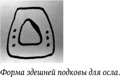 Иллюстрация к книге — Дневники [i_020.jpg]