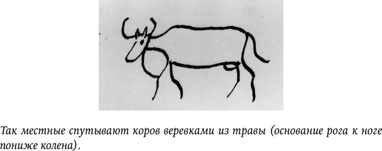 Иллюстрация к книге — Дневники [i_023.jpg]