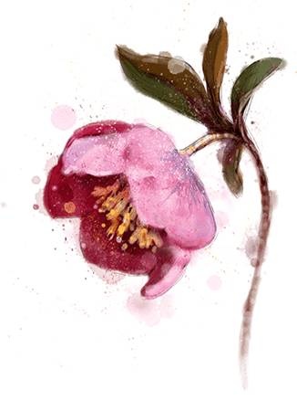 Иллюстрация к книге — Снежная сестрёнка [_20.jpg]