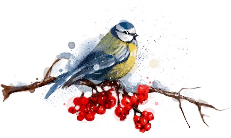 Иллюстрация к книге — Снежная сестрёнка [_51.jpg]