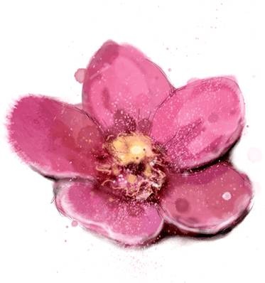 Иллюстрация к книге — Снежная сестрёнка [_60.jpg]