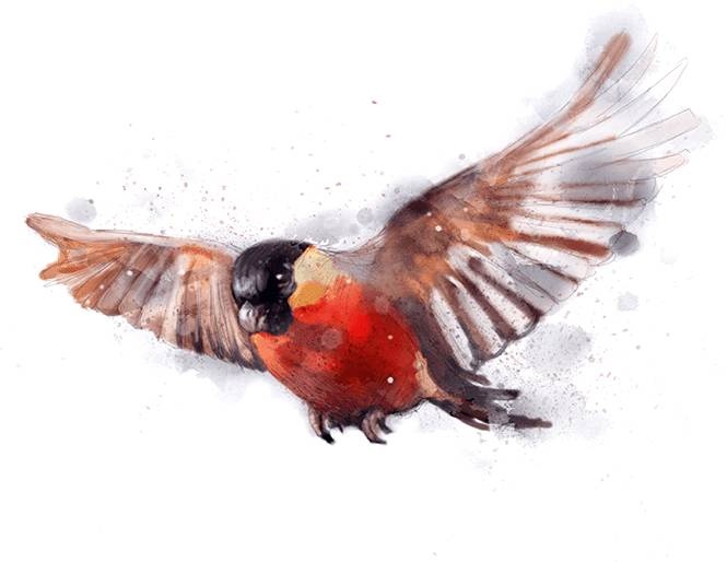 Иллюстрация к книге — Снежная сестрёнка [_78.jpg]