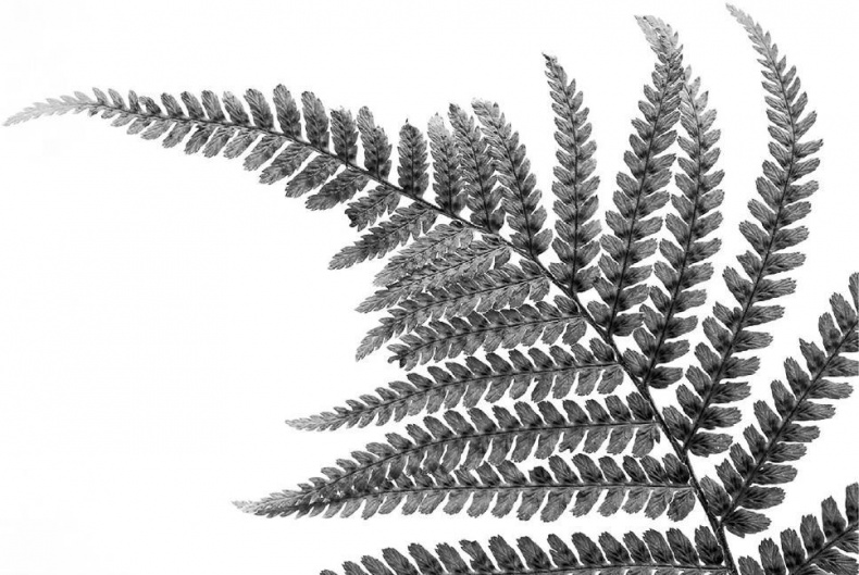 Иллюстрация к книге — Логика чудес. Осмысление событий редких, очень редких и редких до невозможности [i_016.jpg]