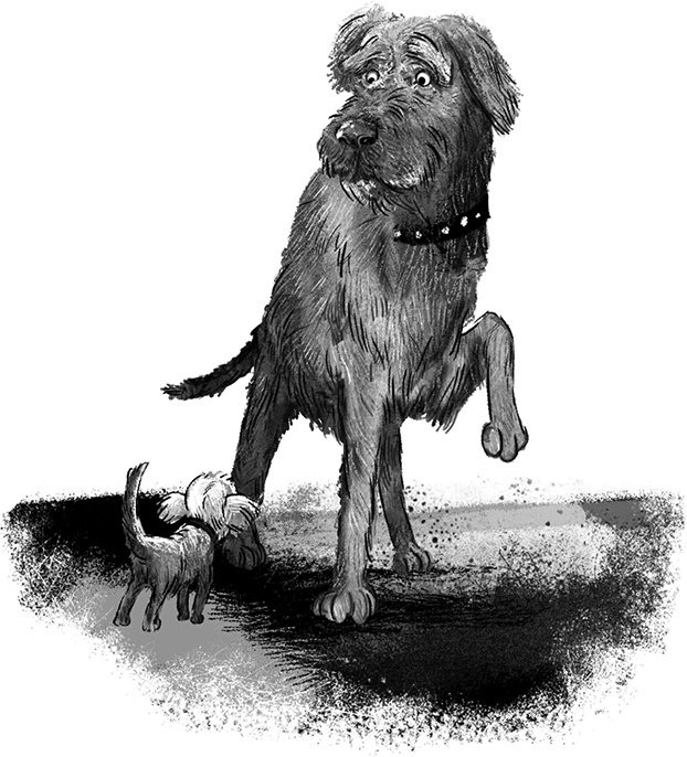 Иллюстрация к книге — Утраченное сокровище [i_011.jpg]