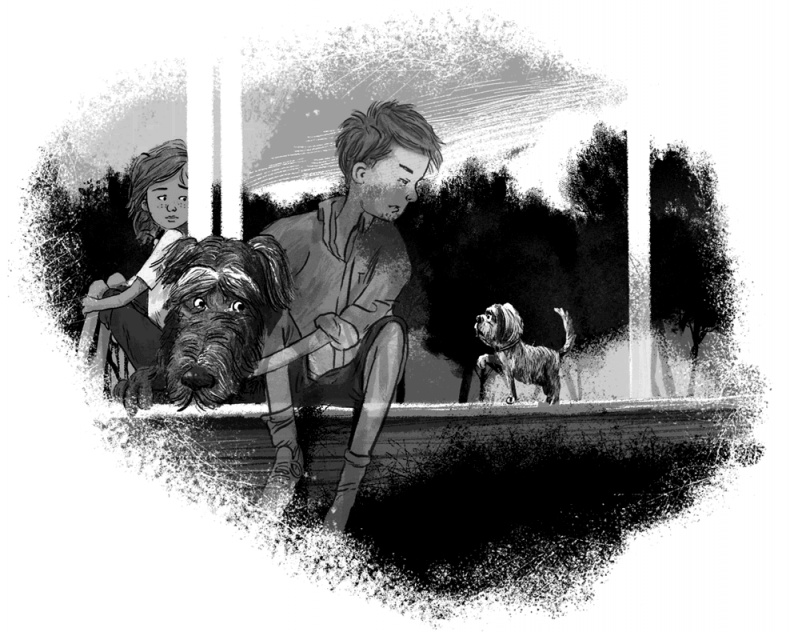 Иллюстрация к книге — Утраченное сокровище [i_020.jpg]