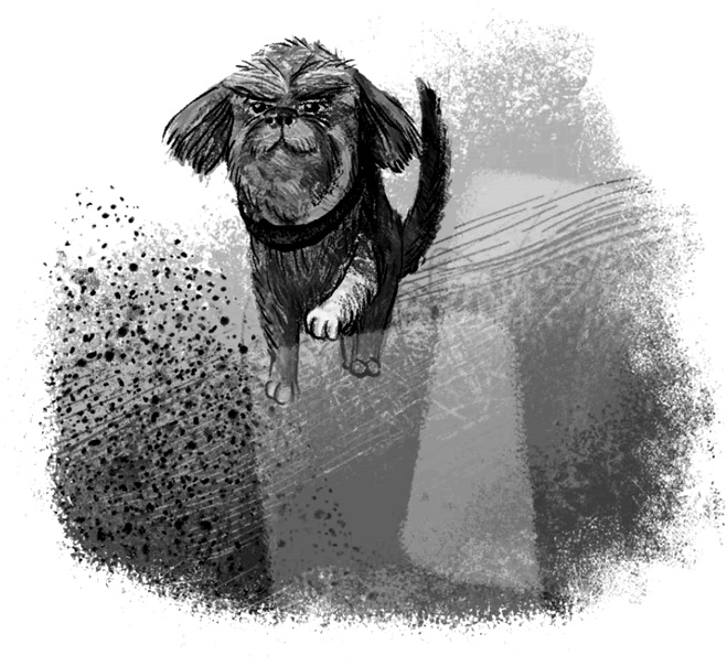 Иллюстрация к книге — Утраченное сокровище [i_022.jpg]