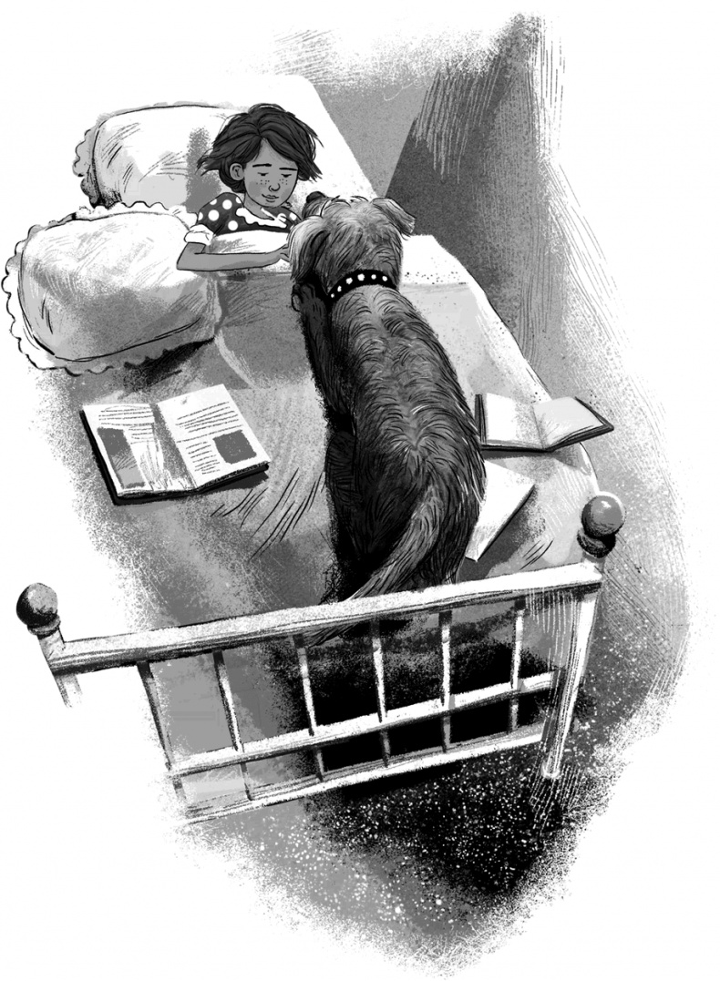 Иллюстрация к книге — Утраченное сокровище [i_028.jpg]