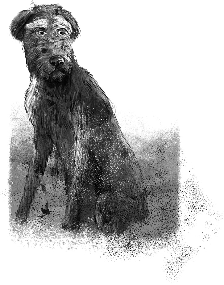 Иллюстрация к книге — Утраченное сокровище [i_041.jpg]