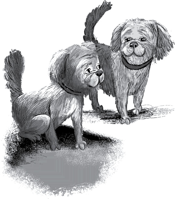 Иллюстрация к книге — Утраченное сокровище [i_043.jpg]