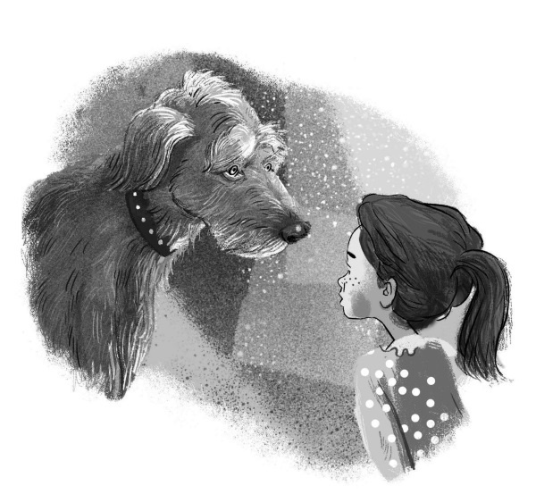 Иллюстрация к книге — Пёс из лунного света [i_019.jpg]